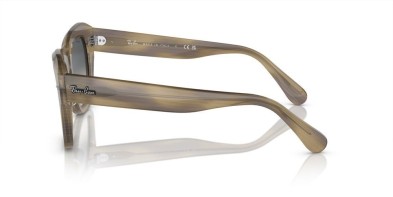 Occhiale da sole Ray-Ban State Street RB2186 1405/71