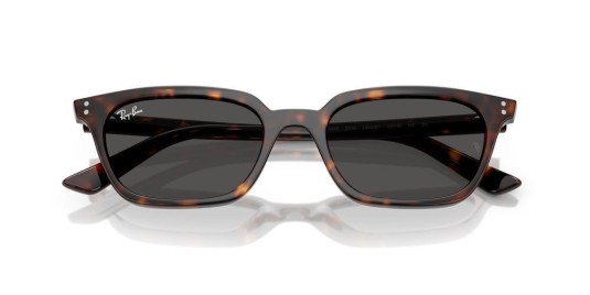 Occhiale da sole Ray-Ban Mod.Zaya  RB4456 1359/87