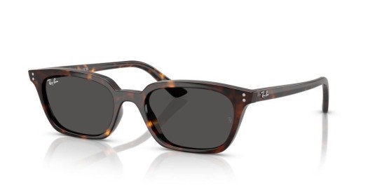 Occhiale da sole Ray-Ban Mod.Zaya  RB4456 1359/87