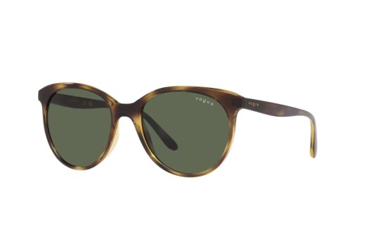 Occhiale da sole Vogue VO5453S W65671