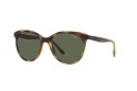 Occhiale da sole Vogue VO5453S W65671