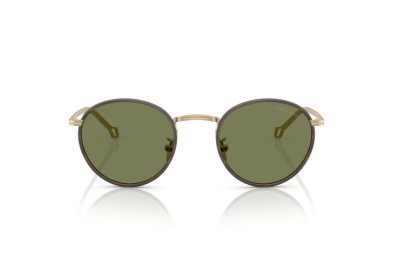 Occhiale da sole Giorgio Armani AR6163J 30022A