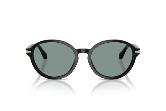 Occhiale da sole Giorgio Armani AR8237 587556