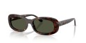 Occhiale da sole Ray-Ban RB2221 902/31