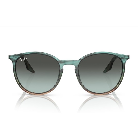Occhiale da sole Ray-Ban RB2204 1394GK