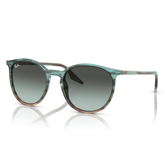 Occhiale da sole Ray-Ban RB2204 1394GK
