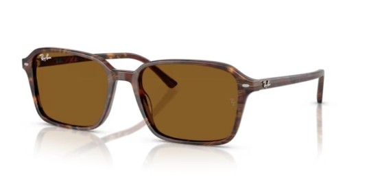 Occhiale da  sole Ray-Ban Mod.Raimond RB2231 1418/33