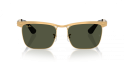 Occhiale da sole Ray-Ban RB 3875 927633