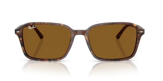 Occhiale da  sole Ray-Ban Mod.Raimond RB2231 1418/33