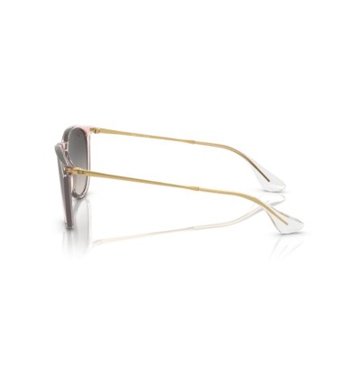 Occhiale da sole Ray-Ban RB4171 674211