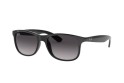 Occhiale da sole Ray-Ban RB4202 601/8G