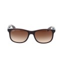 Occhiale da sole Ray-Ban RB4202 607313