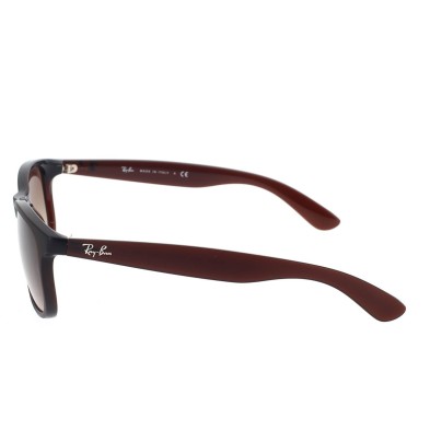 Occhiale da sole Ray-Ban RB4202 607313