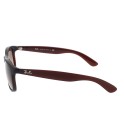 Occhiale da sole Ray-Ban RB4202 607313