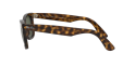 Occhiale da sole Ray-Ban RB4340 710 Occhiale da sole Ray-Ban RB4340 710