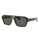 Occhiale da sole Ray-Ban RB 4395 135971