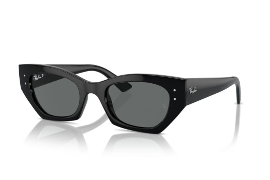 Occhiale da sole Ray-Ban RB 4430 667781