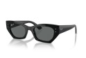 Occhiale da sole Ray-Ban RB 4430 667781