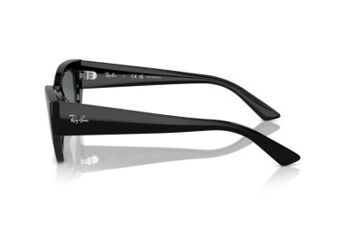 Occhiale da sole Ray-Ban RB 4430 667781