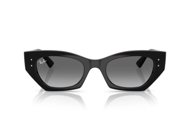 Occhiale da sole Ray-Ban RB 4430 667711
