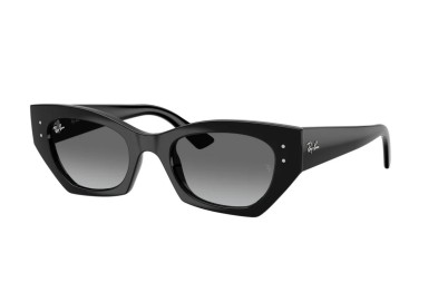 Occhiale da sole Ray-Ban RB 4430 667711