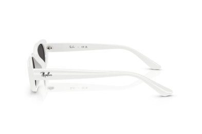 Occhiale da sole Ray-Ban RB 4441D 667787