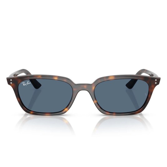 Occhiale da sole Ray-Ban RB 4456 135980
