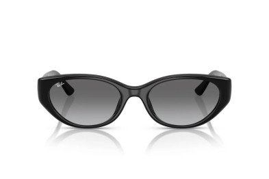 Occhiale da sole Ray-Ban RB 4457D 667711