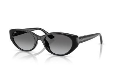 Occhiale da sole Ray-Ban RB 4457D 667711