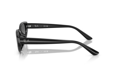 Occhiale da sole Ray-Ban RB 4457D 667711