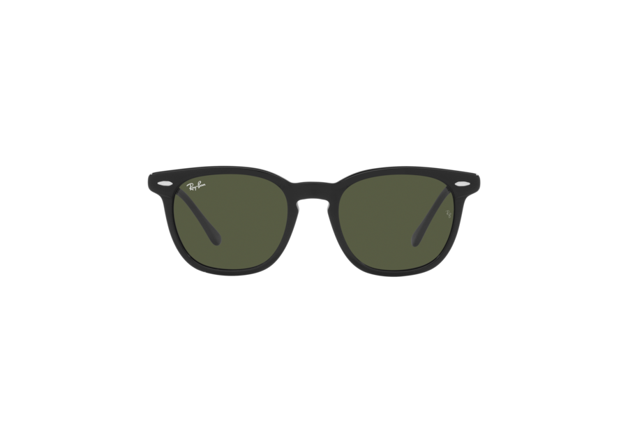 Occhiali da sole Ray Ban RB 2298 901/31