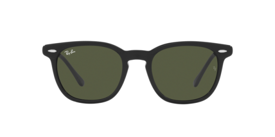 Occhiali da sole Ray Ban RB 2298 901/31