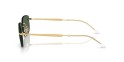 Occhiale da sole Ray-Ban RB3768 001/71