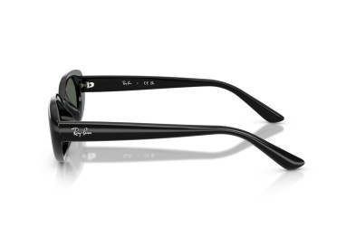 Occhiale da sole Ray-Ban RB4441D 667771