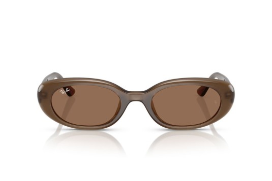 Occhiale da sole Ray-Ban RB4441D 677973