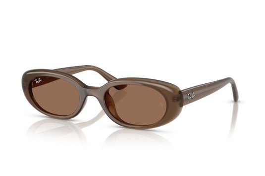 Occhiale da sole Ray-Ban RB4441D 677973