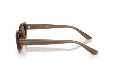 Occhiale da sole Ray-Ban RB4441D 677973