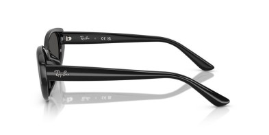 Occhiale da sole Ray-Ban RB4457D 6677/87