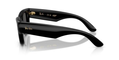 Occhiale da sole Ray-Ban Wayfarer Puffer RB4940 601/87