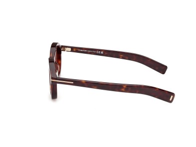 Occhiale da sole Tom Ford Raffa FT1100 52E